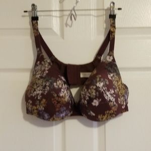 Cacique Intimates & Sleepwear - 44D cacique bra Cacique Intimates & Sleepwear - 44D cacique bra